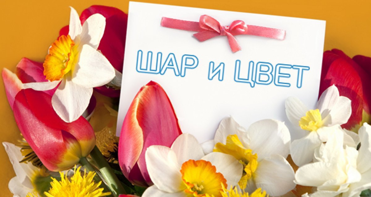 Открытки и цветы Открытки и цветы