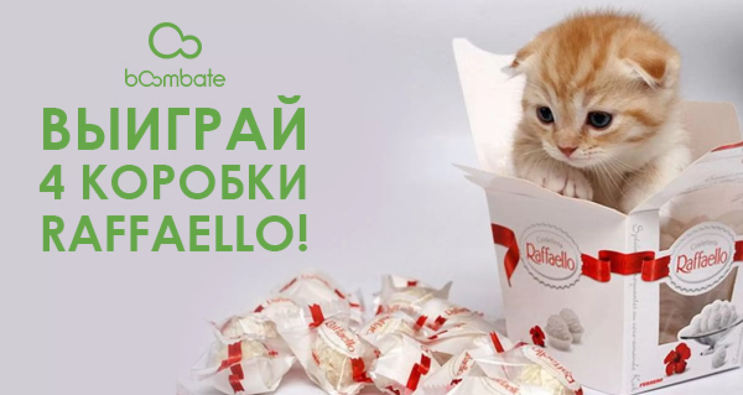 Кот говорит поздравляю