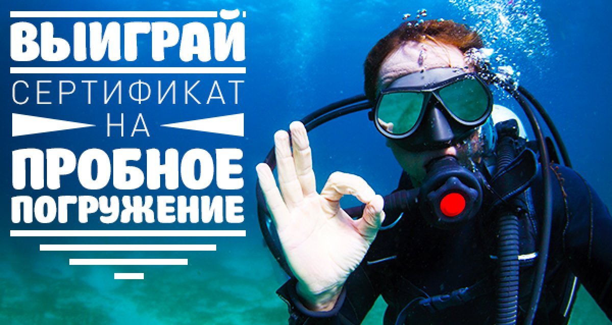 Откройте для себя подводный мир! Розыгрыш пробного погружения — дайвинг!
