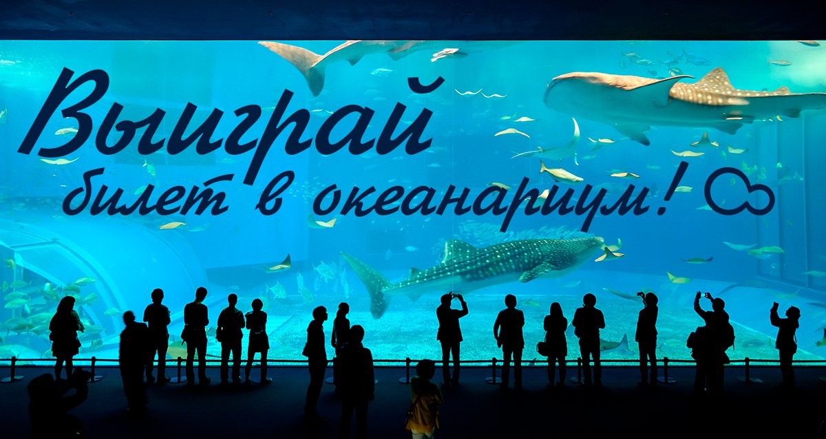 Изучите подводный мир! Розыгрыш билета в океанариум!