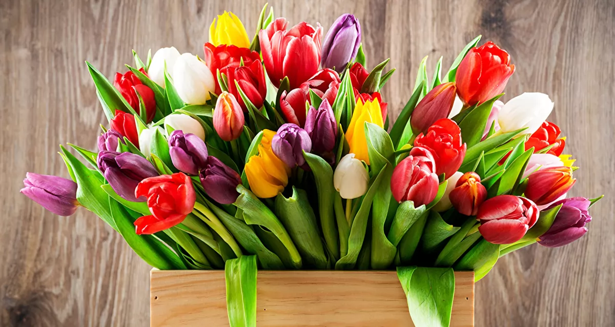 Открытка с 8 марта с тюльпанами