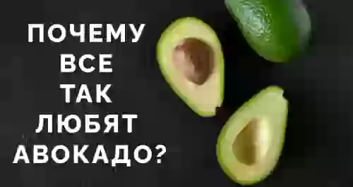 Почему все так любят авокадо?