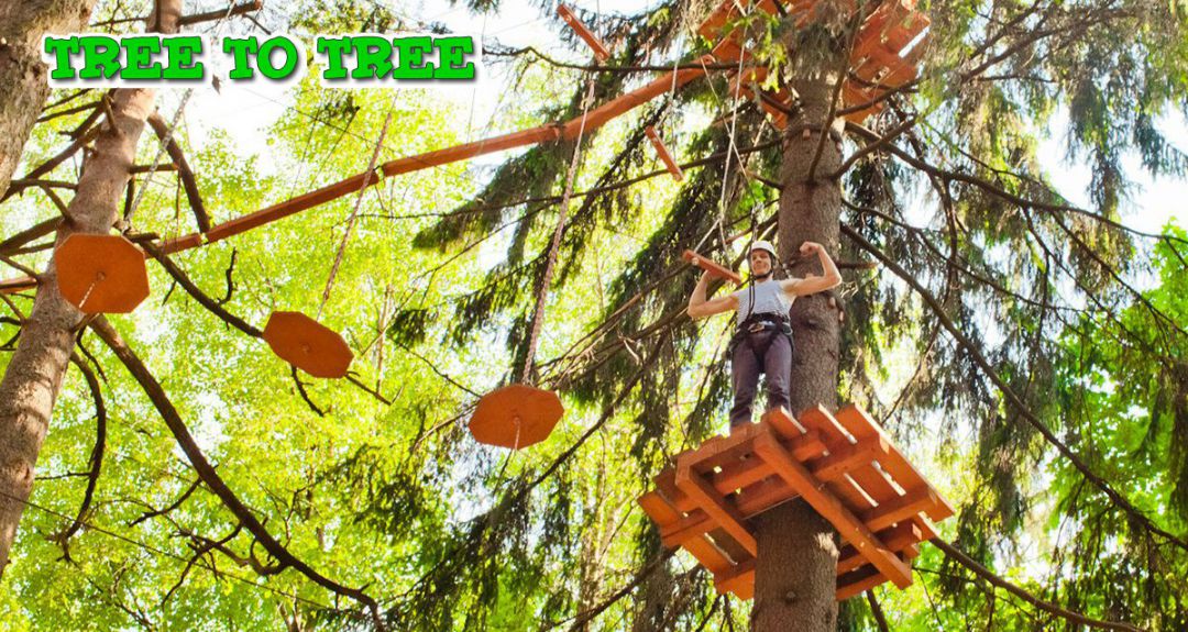 Скидки до 56% от веревочного парка TreeToTree