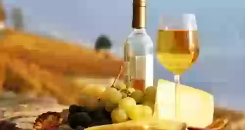 Какой сыр подобрать к вину: топ-5 сочетаний