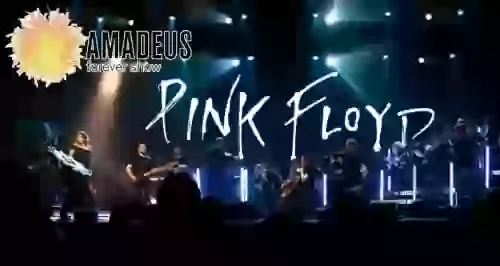 Скидка 25% на яркое шоу Pink Floyd от Amadeus Concerts