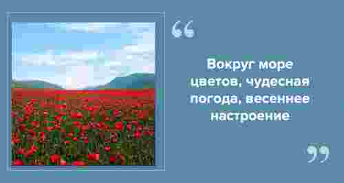 Путешествие в страну цветов: куда поехать за красивыми фото