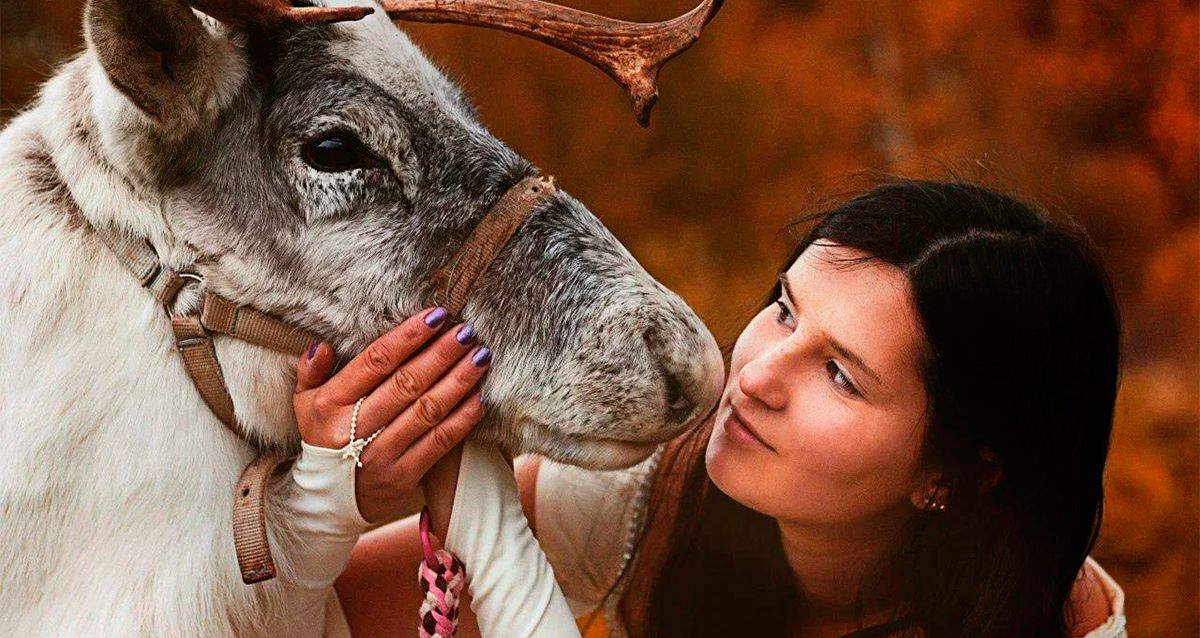 Ферма северных оленей «Дикая Земля»