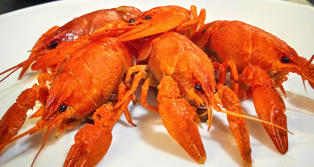 раки
